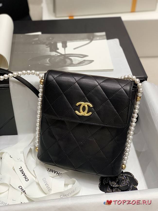 2021 EARLY SPRING NEW SERIES PEARL CHAIN BAG BLACK - 1