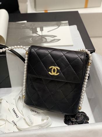 2021 EARLY SPRING NEW SERIES PEARL CHAIN BAG BLACK