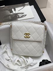 2021 EARLY SPRING NEW SERIES PEARL CHAIN BAG WHITE - 1