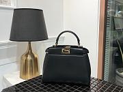 FENDI PEEKABOO ICONIC MINI BLACK 8BN244_23 x 18 x 11 cm - 1