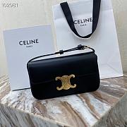 CELINE TRIOMPHE SHOULDER BAG BLACK 194143 SIZE 20 x 10 x 4 cm - 1