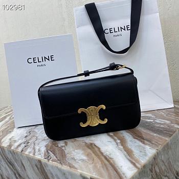 CELINE TRIOMPHE SHOULDER BAG BLACK 194143 SIZE 20 x 10 x 4 cm