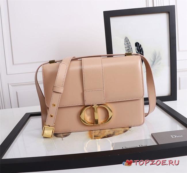 DIOR 30 MONTAIGNE BAG ROSE M9203_24 x 17 x 8 cm - 1