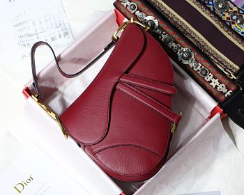 DIOR SADDLE BAG RED M0446 SIZE 25.5 x 20 x 6.5cm