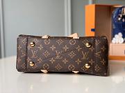 LOUIS VUITON SOUFFLOT BB M44815 SIZE 29 × 19 × 10 cm - 2