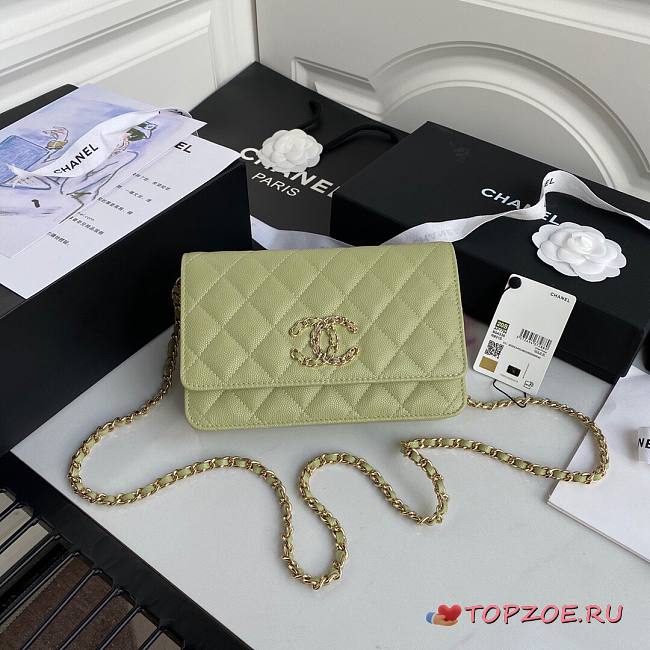 CHANEL 19 WALLET ON CHAIN TEA GREEN AP0957 SIZE 12 x 19 x 3.5 CM - 1