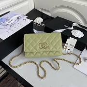 CHANEL 19 WALLET ON CHAIN TEA GREEN AP0957 SIZE 12 x 19 x 3.5 CM - 1
