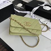 CHANEL 19 WALLET ON CHAIN TEA GREEN AP0957 SIZE 12 x 19 x 3.5 CM - 4