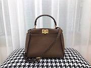FENDI PEEKABOO ISEEU MINI BROWN GRAIN LEATHER 8BN244 SIZE 23 CM - 1