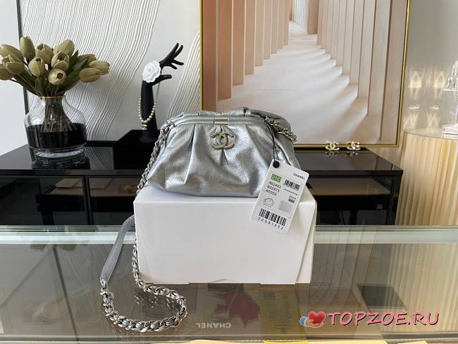CHANEL SUPPLE LEATHER CLUTCH WITH CHAIN SILVER AS2493 SIZE 22 CM - 1