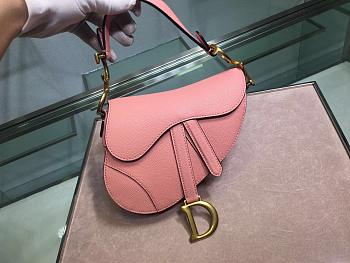 DIOR MINI SADDLE BAG BLUSH M0447 SIZE 19.5 CM
