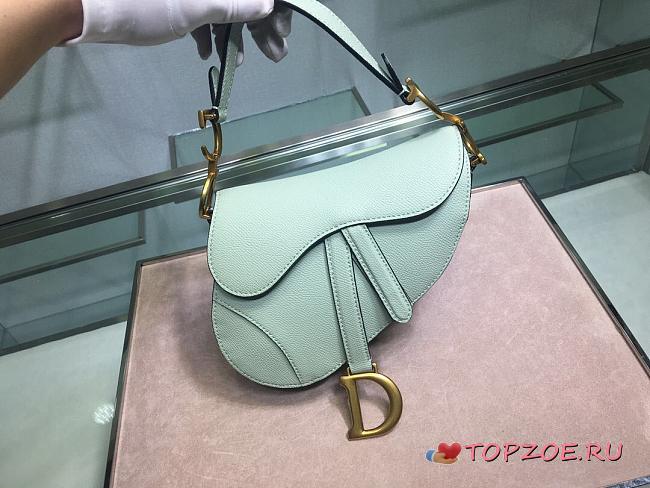 DIOR MINI SADDLE BAG MINT M0447 SIZE 19.5 CM - 1