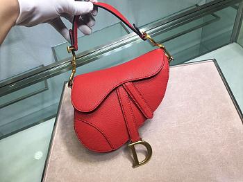 DIOR MINI SADDLE BAG RED M0447 SIZE 19.5 CM