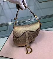 DIOR MINI SADDLE BAG GOLD M0447 SIZE 19.5 CM - 1