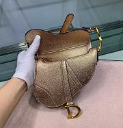 DIOR MINI SADDLE BAG GOLD M0447 SIZE 19.5 CM - 2