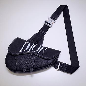 DIOR AND PETER DOIG SADDLE BAG 