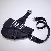 DIOR AND PETER DOIG SADDLE BAG  - 6