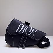 DIOR AND PETER DOIG SADDLE BAG  - 5