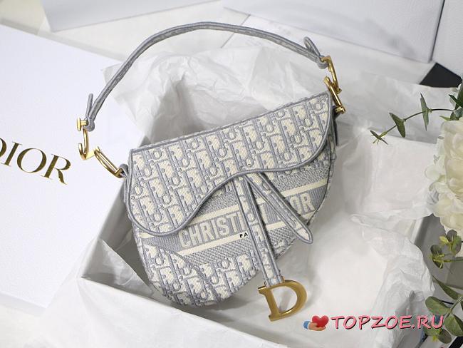 DIOR SADDLE GRAY DIOR OBLIQUE M0446 SIZE 25.5 CM - 1