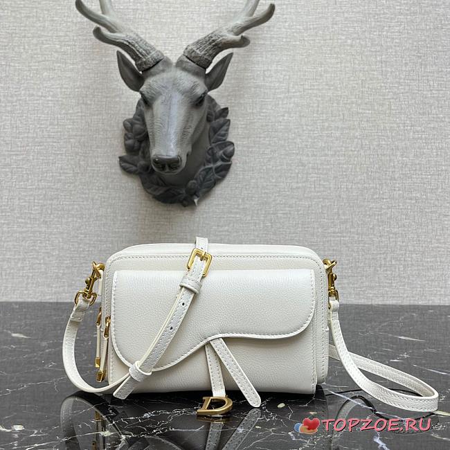 DIOR SADDLE DOUBLE POUCH WHITE M900 SIZE 19 CM - 1