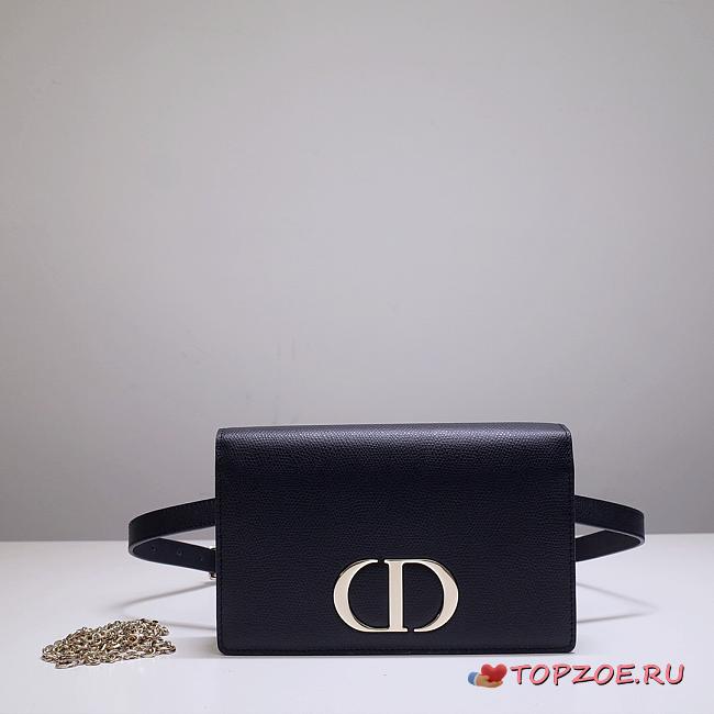 Dior 2-in-1 30 Montaigne Pouch