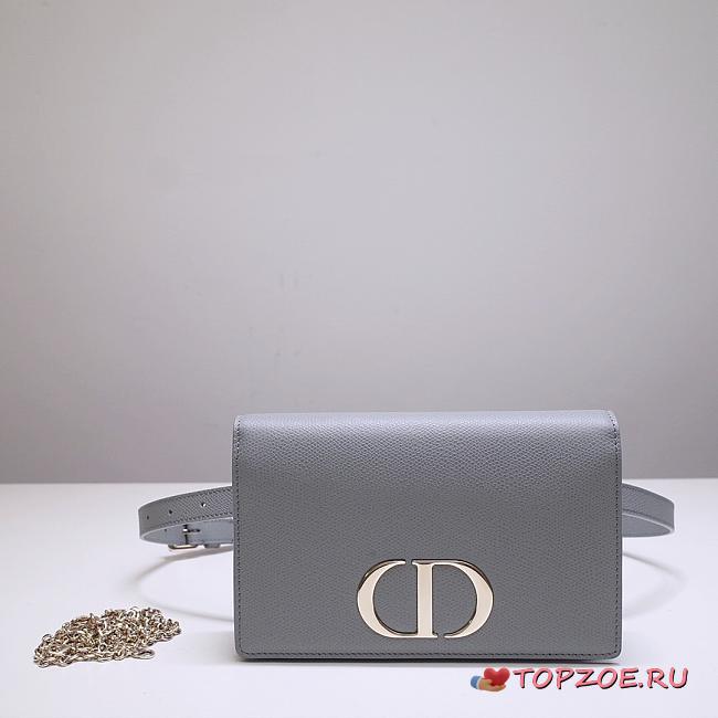 DIOR 2-IN-1 30 MONTAIGNE POUCH GRAY S2086 SIZE 19 CM - 1