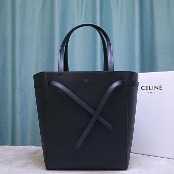 horizontal cabas celine