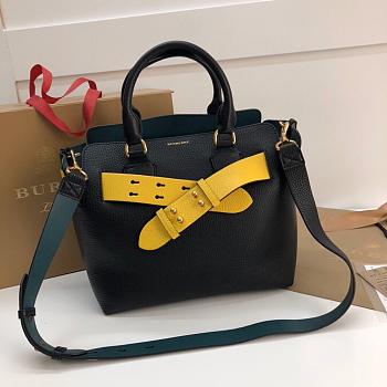 burberry small belt bag