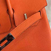 HERMES CORTEX BIRKIN H0012 - 2