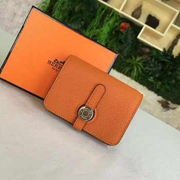 HERMES LEATHER DOGON 04