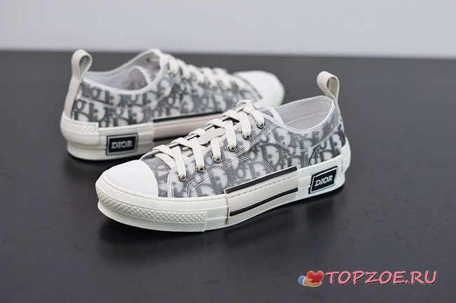 DIOR OBLIQUE CANVAS SNEAKERS D-05 - 1