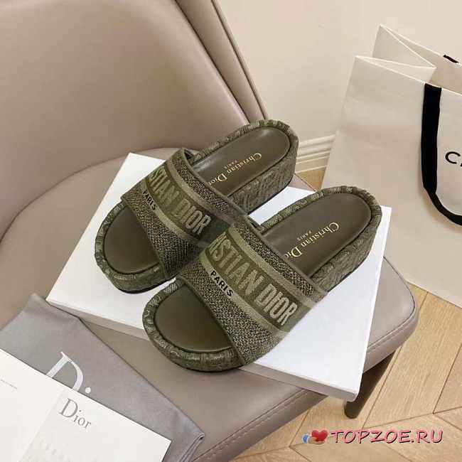 DIOR SLIPPERS 011 - 1
