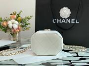 CHANEL SMALL VANITY CASE WHITE SIZE 15 CM - 4