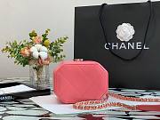 CHANEL SMALL VANITY CASE PINK SIZE 15 CM - 6