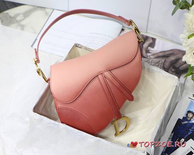 DIOR SADDLE BAG PINK GRADIENT M0446 SIZE 25.5 CM - 1