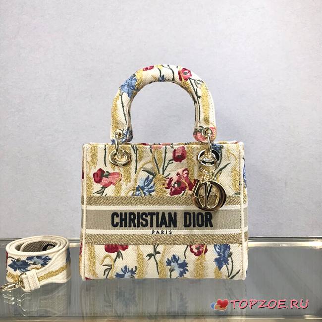 DIOR MEDIUM LADY COLORFUL EMBROIDERED M0565 SIZE 24 CM  - 1