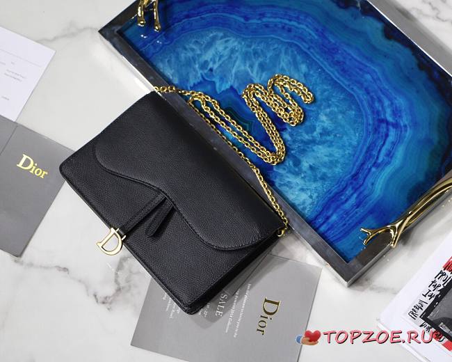 DIOR SADDLE POUCH BLACK S5620 SIZE 22 CM - 1