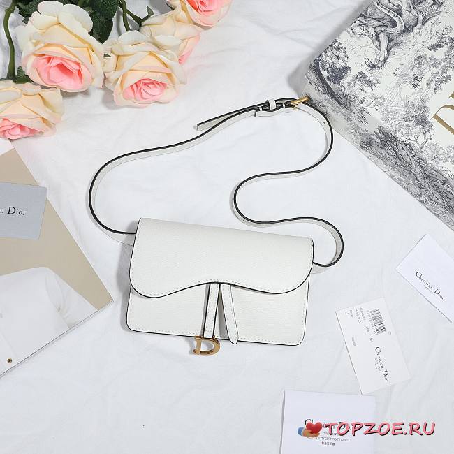 DIOR SADDLE BELT POUCH WHITE S5619 SIZE 17 CM - 1