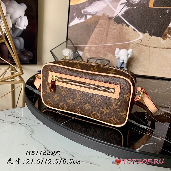 LV MONOGRAM CITE PM M51183 SIZE 21.5 CM - 1