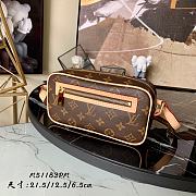 LV MONOGRAM CITE PM M51183 SIZE 21.5 CM - 1