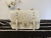 CHANEL MESSENGER FLAP BAG WHITE AS2696 25 CM - 1