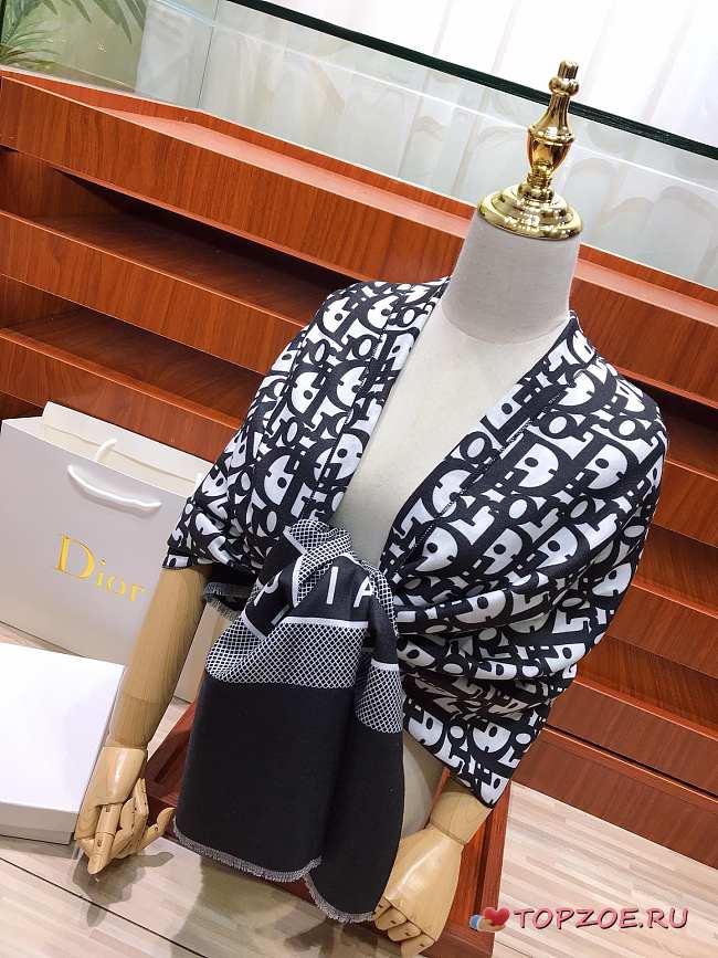 Dior Scarf 01 - 1