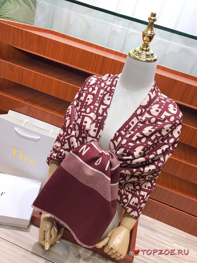 Dior Scarf 02 - 1