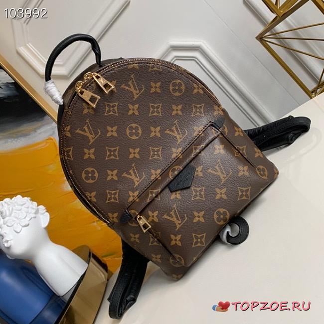 LOUIS VUITON PALM SPRINGS BACKPACK PM M41560 - 1