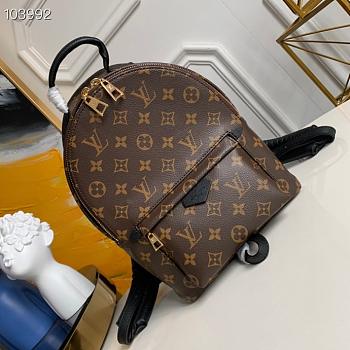 LOUIS VUITON PALM SPRINGS BACKPACK PM M41560