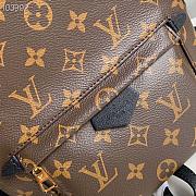 LOUIS VUITON PALM SPRINGS BACKPACK PM M41560 - 6