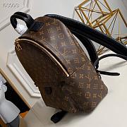 LV PALM SPRING MM BACKPACK M44874 - 3