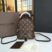 LOUIS VUITTON PALM SPRINGS BACKPACK MINI MONOGRAM CANVAS M44873 - 1