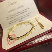 Cartier Love Bracelet - 6