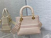 DIOR MEDIUM LADY D-LITE Pink and white Bag 24cm - 1